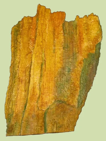 Ariane Brena - Kunst-Stück 1