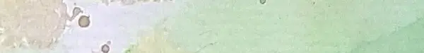 Dekoratives Bild schwebend neben Text