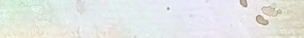 Dekoratives Bild schwebend neben Text