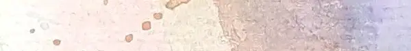 Dekoratives Bild schwebend neben Text