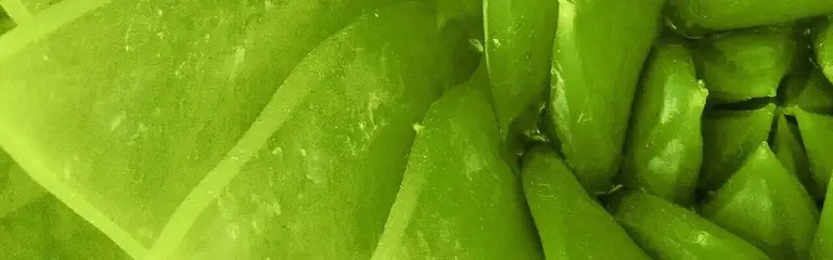 Trauma - der Hintergrund meines Wirkens