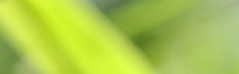 Wähle die für dich passende Gelegenheit