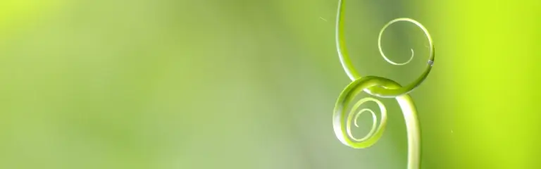 Termine mit Ariane Brena