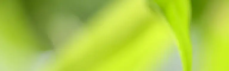 Ariane Brena, Empathie, Berufung, Aufstellungen, Mediation