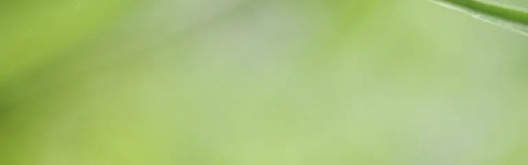 Ariane Brena - Angebotene Methoden im Überblick