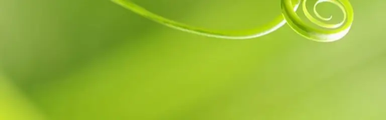 Ariane Brena – Begriffsergebnisse