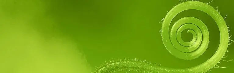 Mediation – Gesprächsbegleitung bei Konflikten