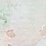 Dekoratives Bild schwebend neben Text