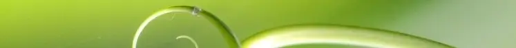 Bild als horizontaler Trenner