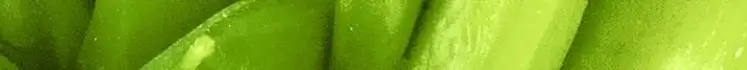 Bild als horizontaler Trenner