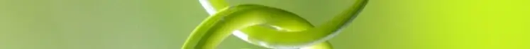 Bild als horizontaler Trenner