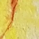 Dekoratives Bild schwebend neben Text