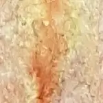 Dekoratives Bild schwebend neben Text