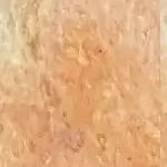 Dekoratives Bild schwebend neben Text
