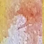 Dekoratives Bild schwebend neben Text
