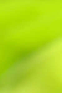 Dekoratives Bild schwebend neben Text